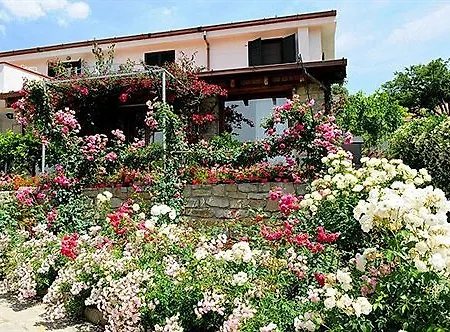 Il Giardino Di Valentina Gasthuis Escolca